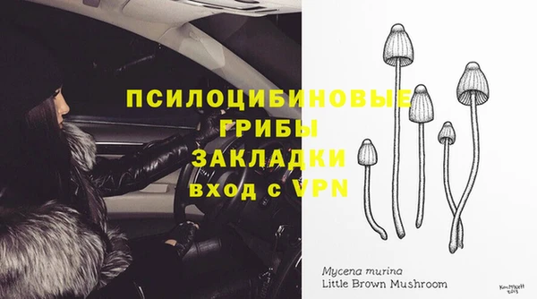 a pvp Белоозёрский