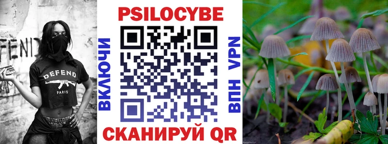 купить наркоту  Крымск  Псилоцибиновые грибы Magic Shrooms 